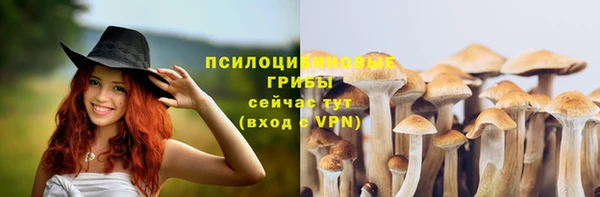 МДМА Белокуриха