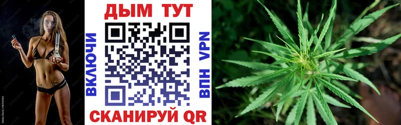 где можно купить   Карпинск  Шишки марихуана план 